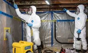Mold remediation services for water-damaged homes in Fargo, ND